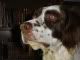 Picture of coloradohunter44 Picture of coloradohunter44