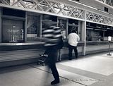 Chasing-Shadows-4.jpg image by tdbetts