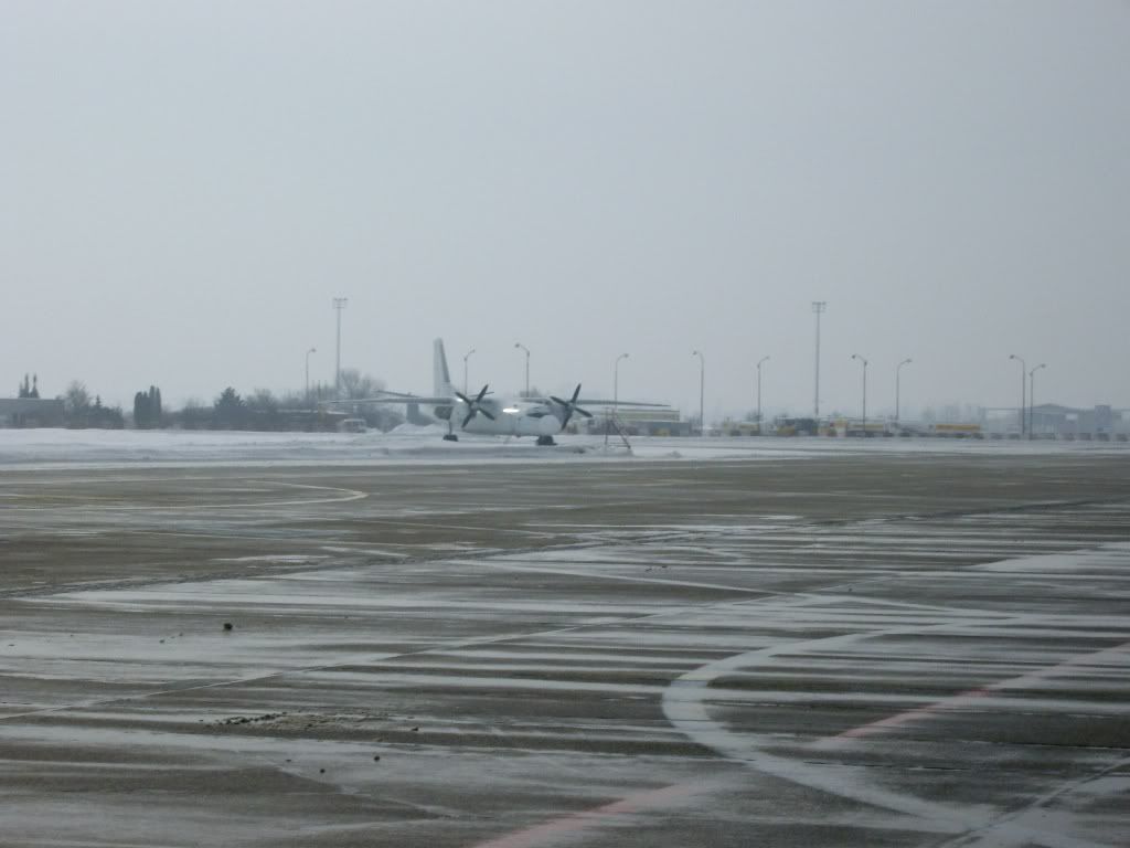 IMGP5767.jpg