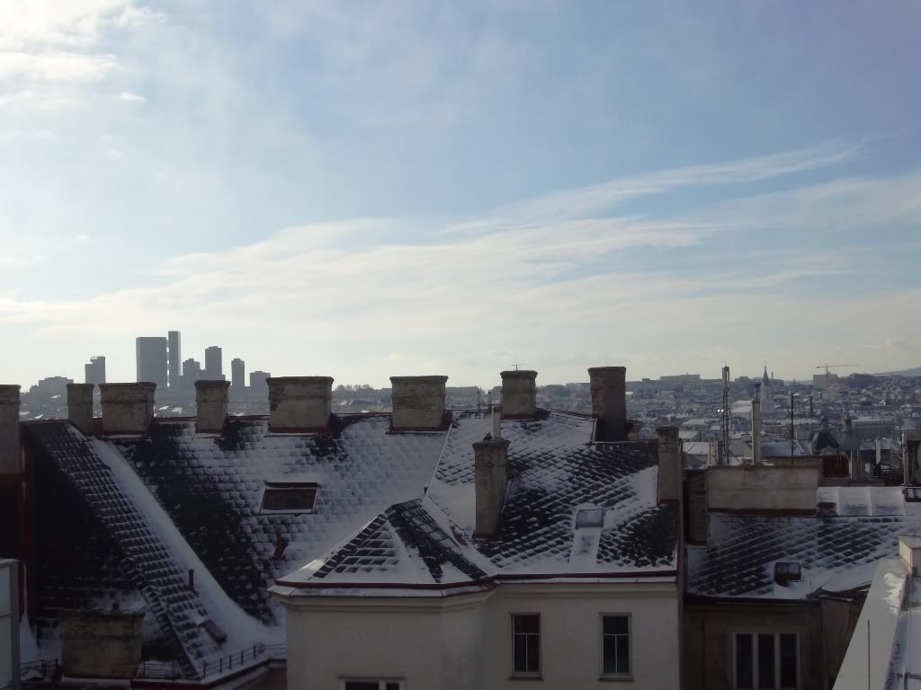 IMGP6074.jpg