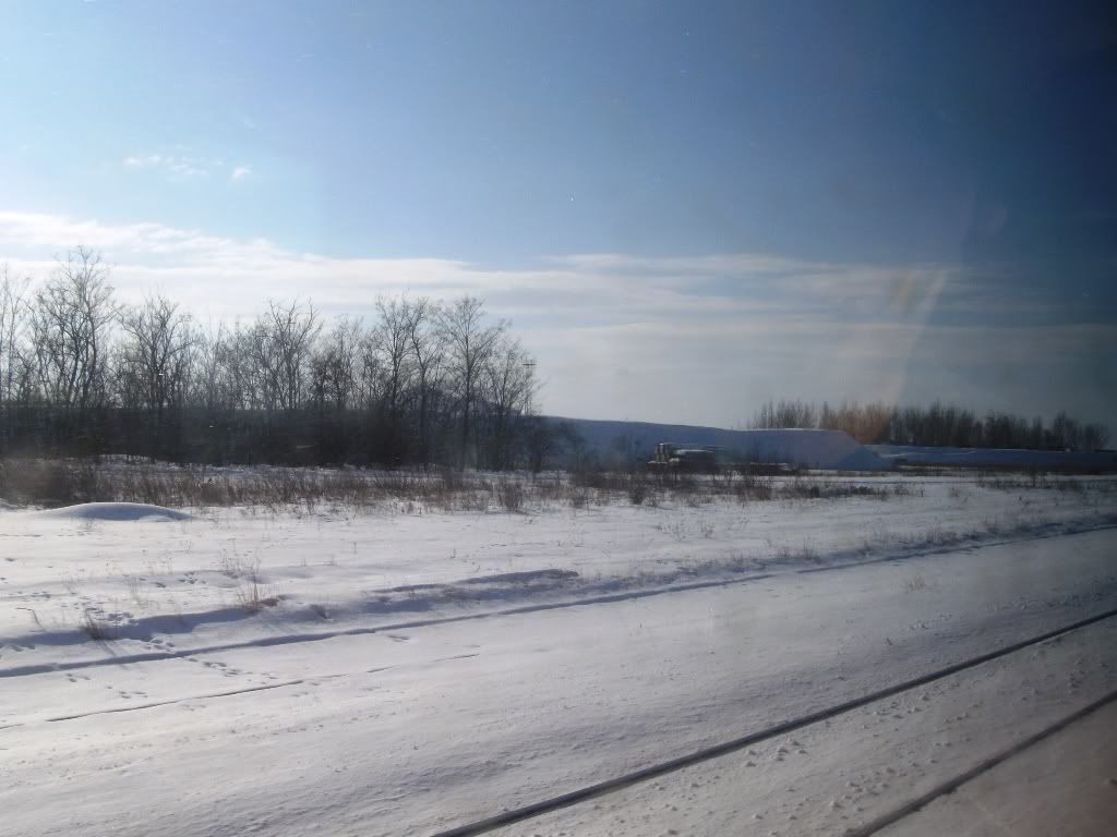 IMGP6098.jpg