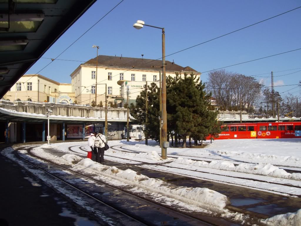IMGP6102.jpg