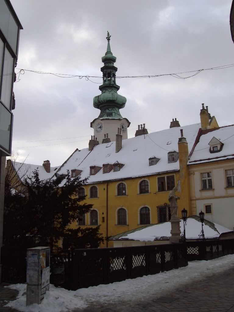 IMGP6108.jpg
