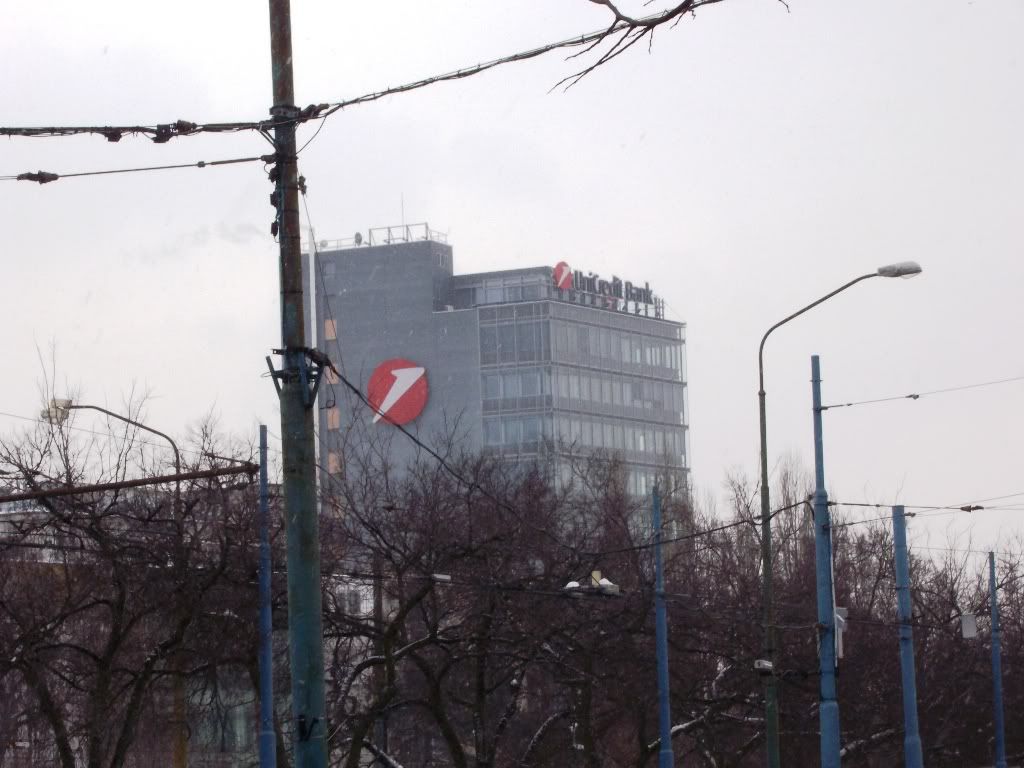 IMGP6251.jpg