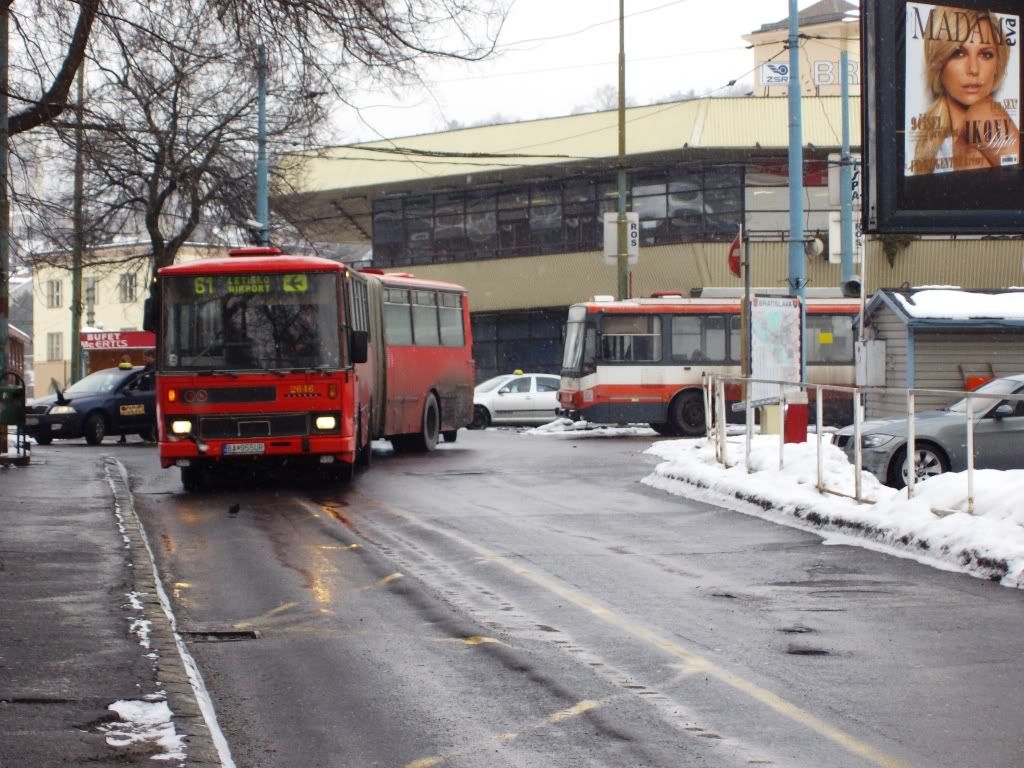 IMGP6255.jpg
