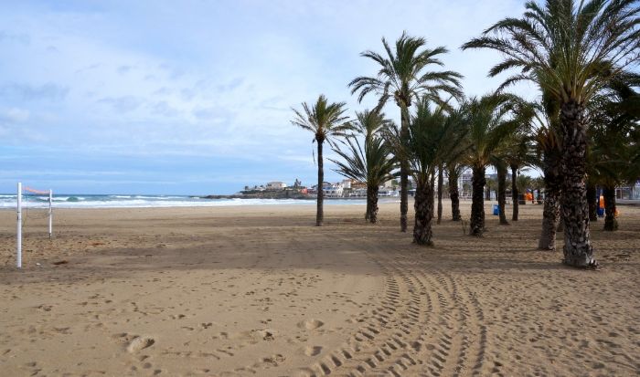 Javea beach with palm trees and volleyball net