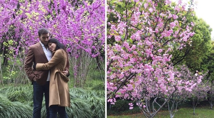Euriental | fashion & luxury travel | Shanghai photo diary, blossoms in spring