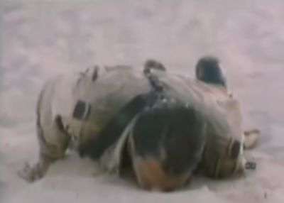 [Image: ThatcherDead_zps39788e25.png]