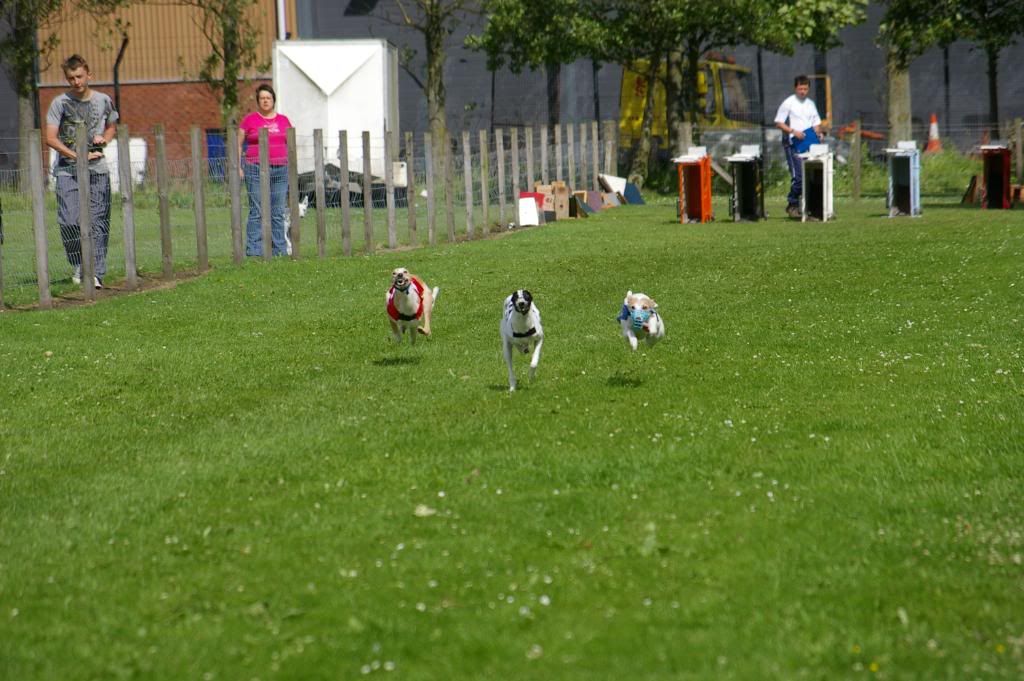 scotishderby2010062-1.jpg