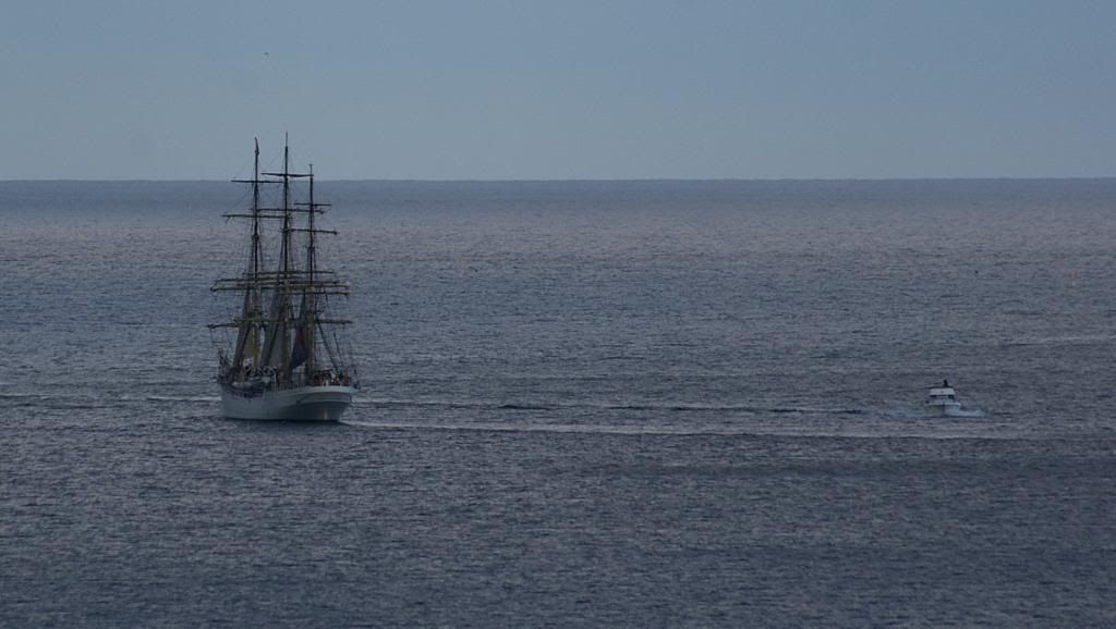 tallships040.jpg