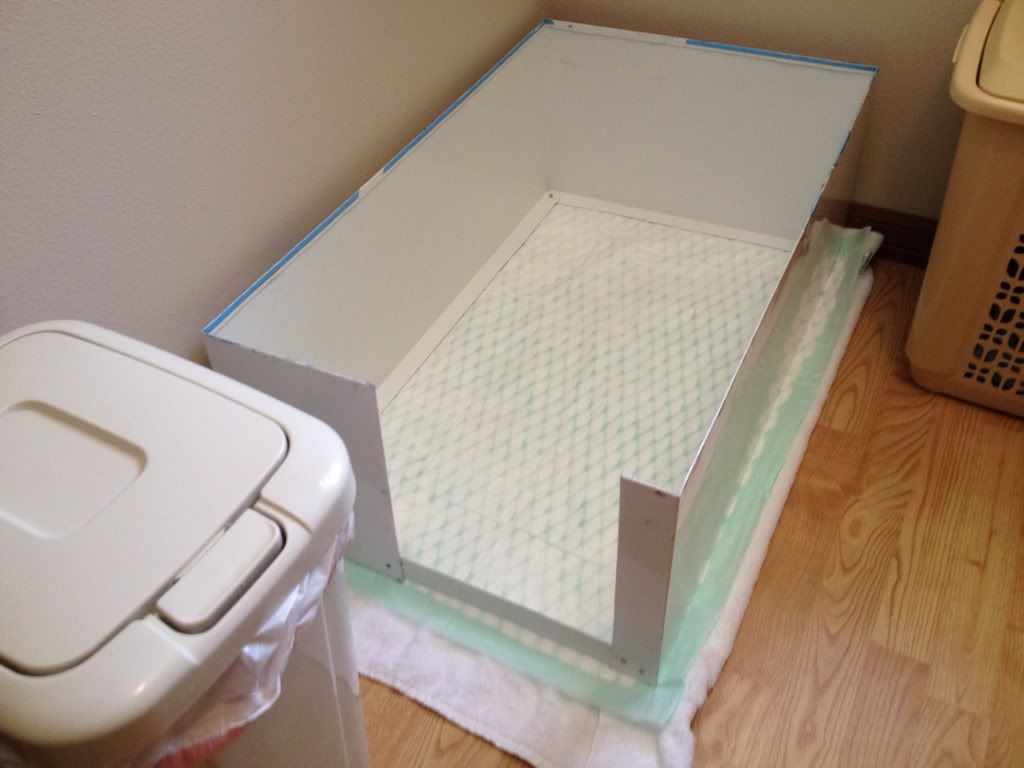 Please Post Your Indoor Potty Setups! - YorkieTalk.com Forums 