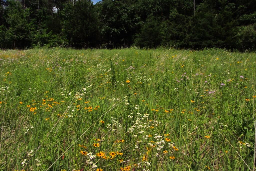 prairie panorama photo IMG_0615_zpstl5wn4qd.jpg