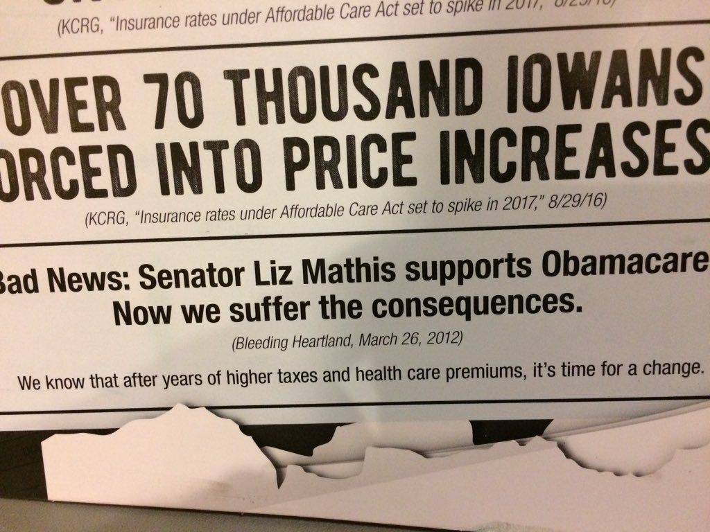 Hit piece on Liz Mathis photo IowaGOPMathisBleedingHeartland_zpsyryvhook.jpeg