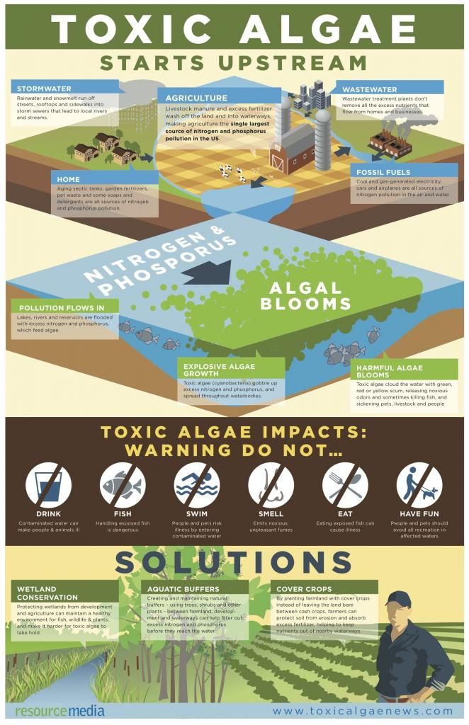 Toxic algae infographic photo ToxicAlgaeInfographic_zpsd1e63528.jpg