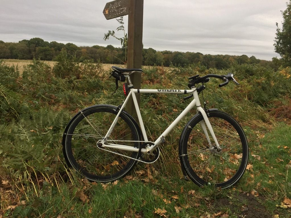  photo 63A946E5-ED25-438F-9329-9EF096635DF5_zpskmfedhez.jpeg