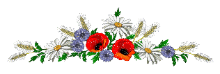Composition_from_flowers.gif