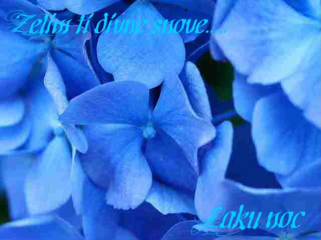 blue_flowers.jpg